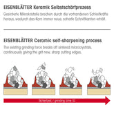 Restpoten Eisenblätter 96628 MAGNUM® Ceramic 125 x 22,2 mm, Korn 80, Fächerschleifscheibe